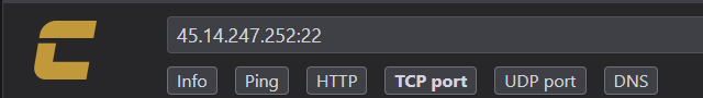 Check-Host: строка с адресом сервера и портом и кнопки Info, Ping, HTTP, TCP port, UDP port, DNS