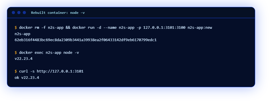 Пересозданный контейнер: node -v