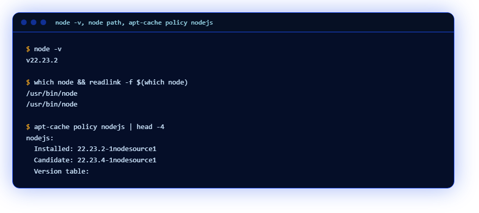 node -v, node path and apt-cache policy nodejs
