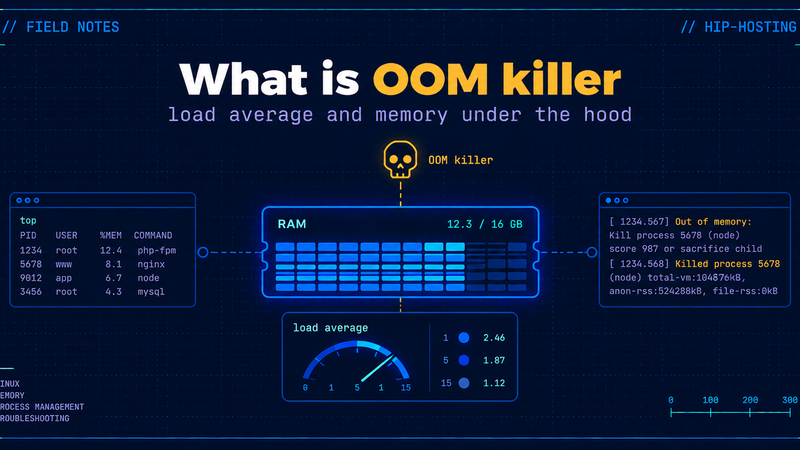 OOM killer and load average on HIP - article cover