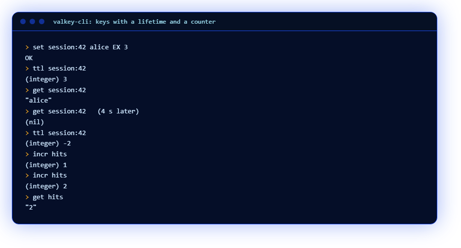valkey-cli: ключ со сроком жизни и счётчик